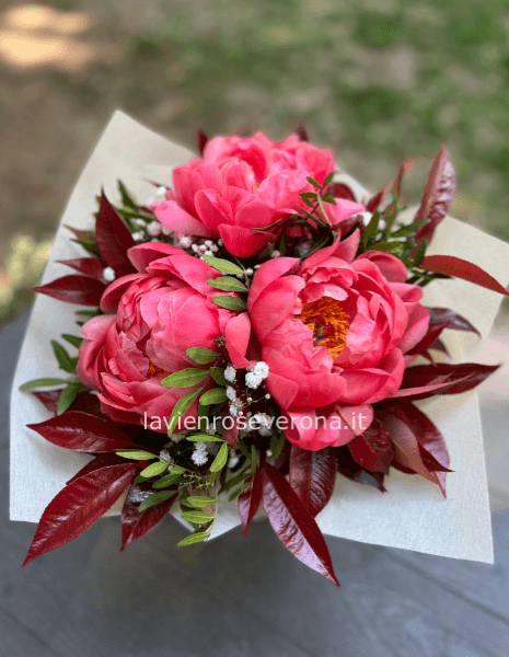 colour peonie